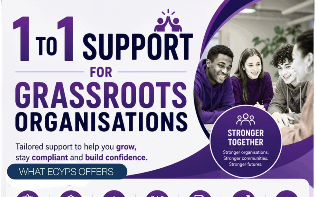 1-to-1 Support for Grassroots Organisations