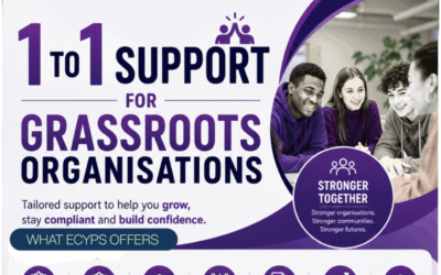 1-to-1 Support for Grassroots Organisations